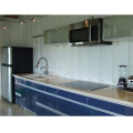 high quality integrated waterproof PVC Nepal furniture kitchen cabinet